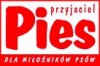 Pies przyjaciel